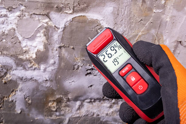 Best Emergency Mold Removal  in Girardville, PA