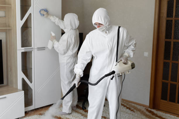 Best Mold Cleaning Services  in Girardville, PA