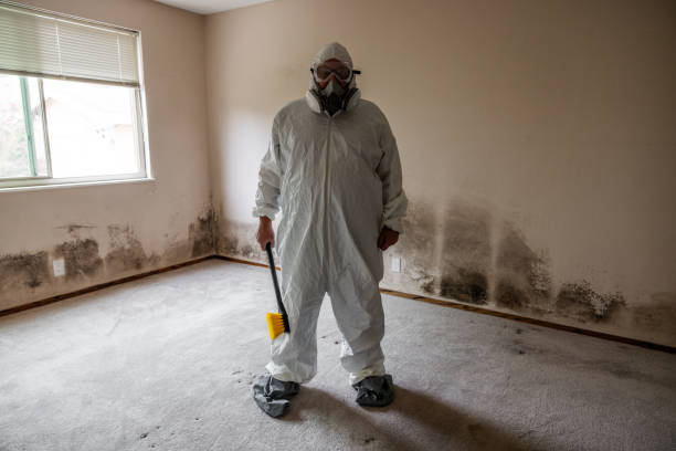 Best Residential Mold Removal  in Girardville, PA